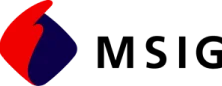 MSIG Seguros