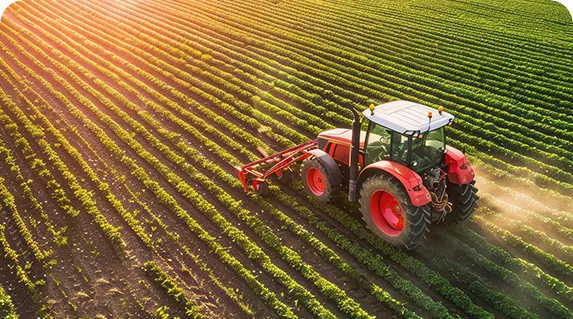 Seguro agro / rural